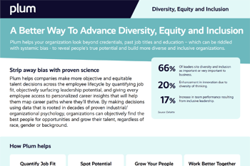 Diversity, Equity and Inclusion Brochure