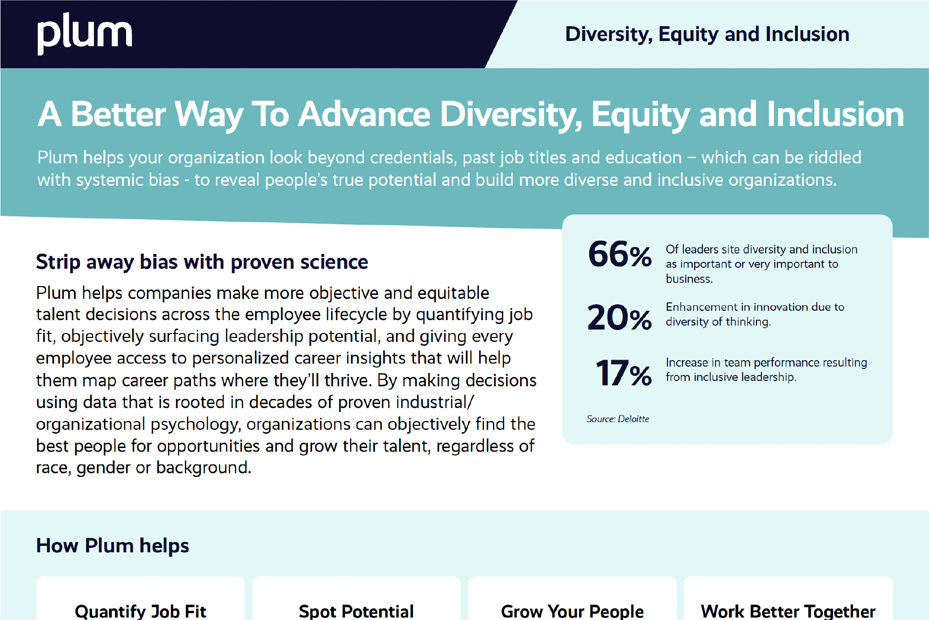 Diversity, Equity & Inclusion Brochure