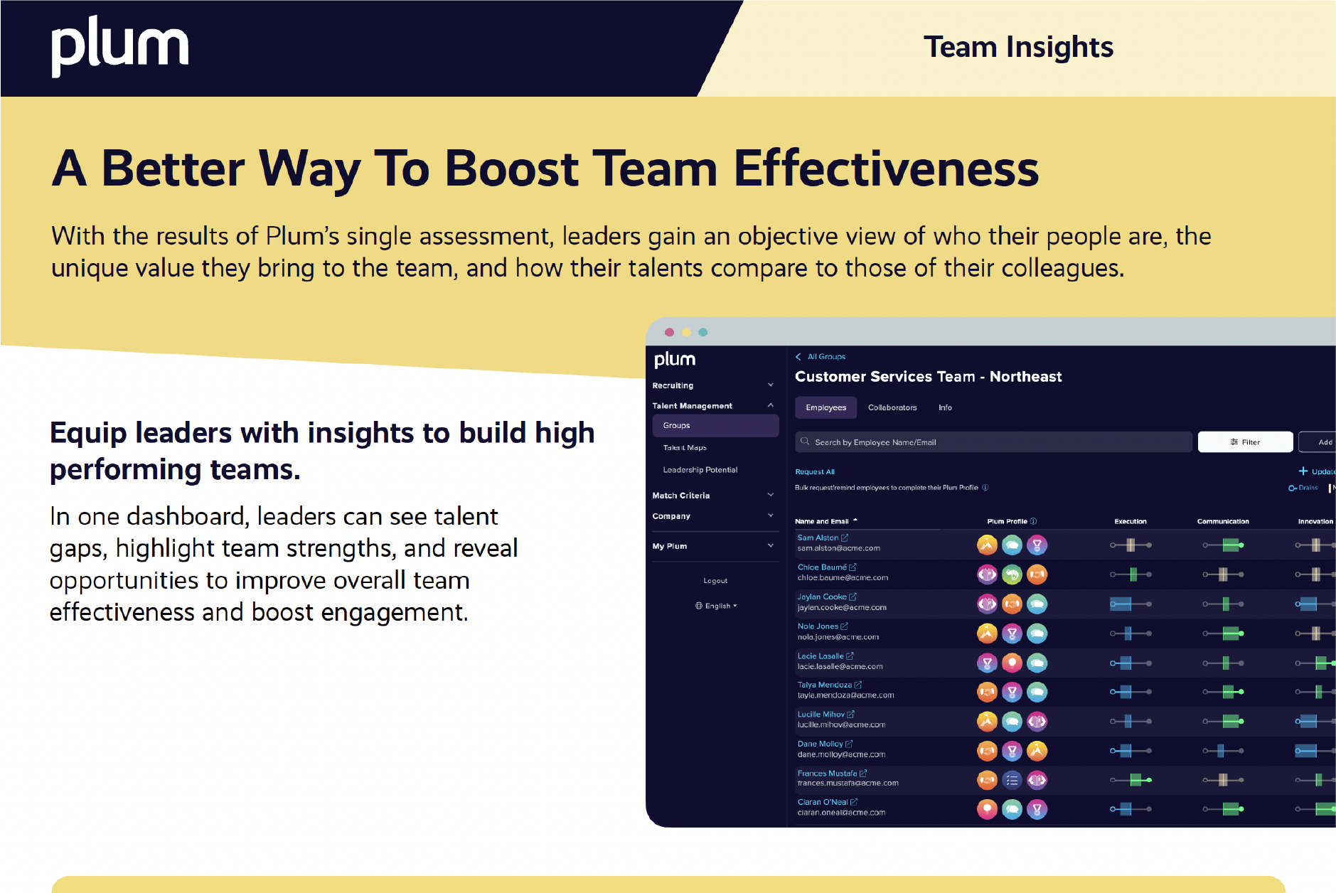 Team Insights Brochure