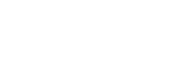 Rolebot