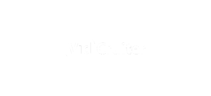 VidCruiter